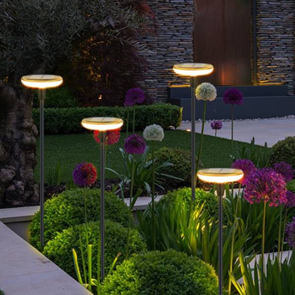 (Lot de 2) Eclairages LED 35 lm Solaire à planter Idéal illumination de composition florale-5