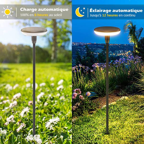 (Lot de 2) Eclairages LED 35 lm Solaire à planter Idéal illumination de composition florale-3