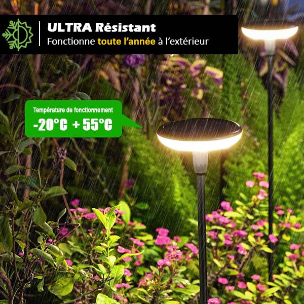 (Lot de 2) Eclairages LED 35 lm Solaire à planter Idéal illumination de composition florale-4