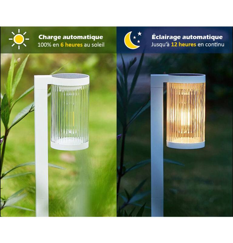 (Lot de 2) Eclairages LED 25 lm Solaire à planter Idéal éclairage d’allée et chemin-5