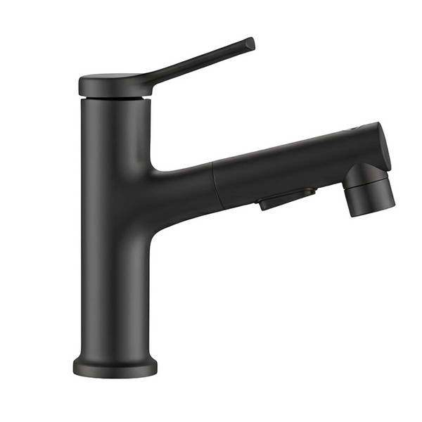 Robinet de Lavabo Extensible avec Fonction de Rinçage Buccal