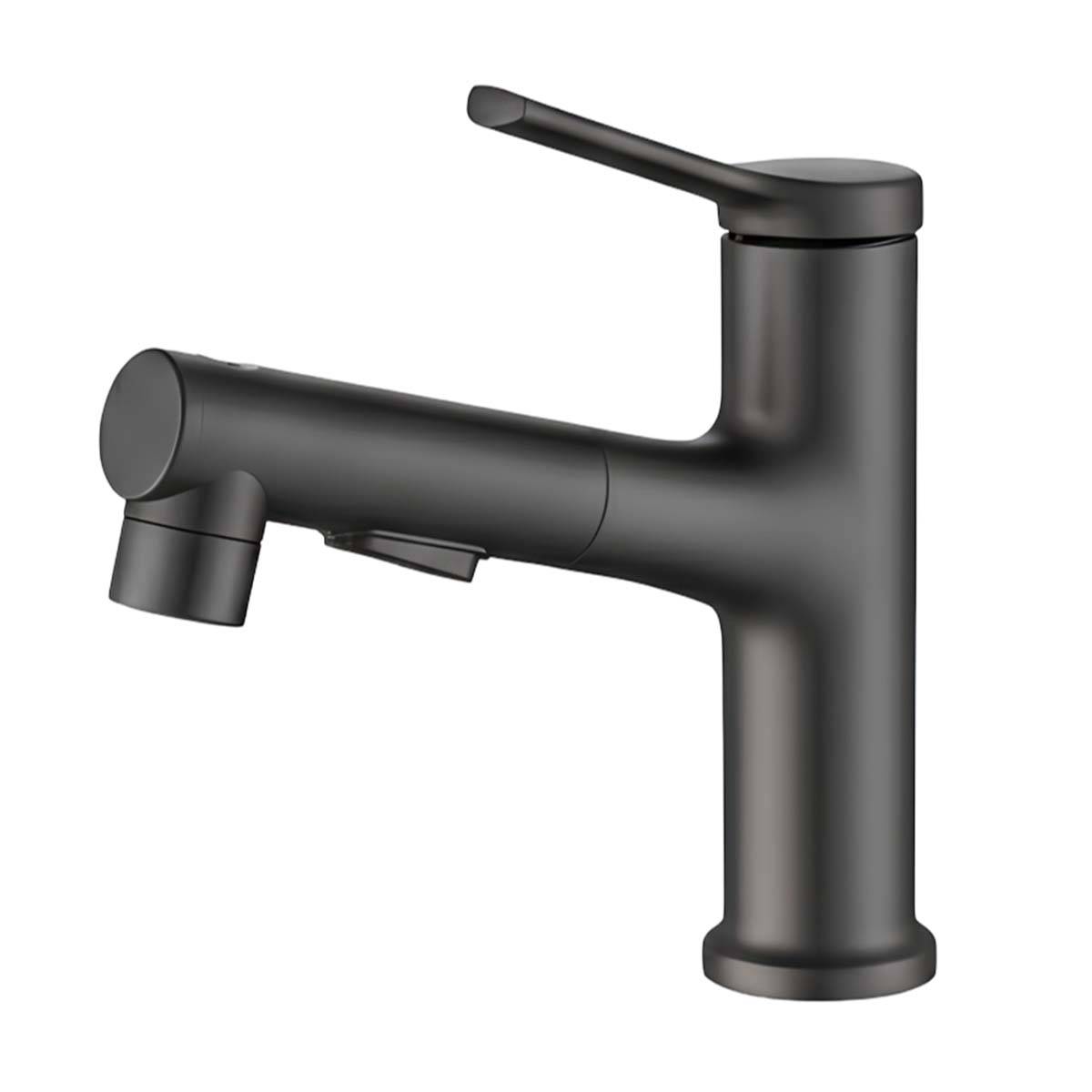 Robinet de Lavabo Extensible avec Fonction de Rinçage Buccal-1