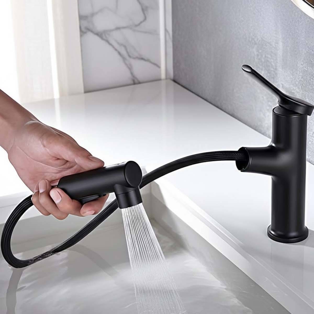 Robinet de Lavabo Extensible avec Fonction de Rinçage Buccal-2