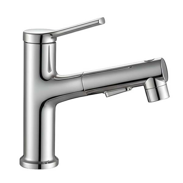 Robinet de Lavabo Extensible Multifonction avec Fonction Rinçage Buccal