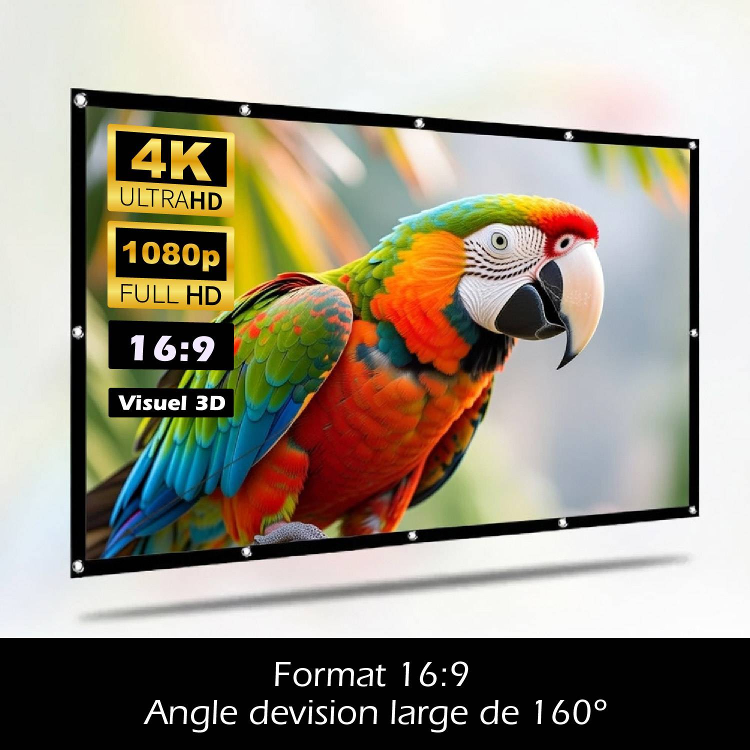 Écran de Projection Mural Pliable – 100” – Double Face Avant/Arrière-0
