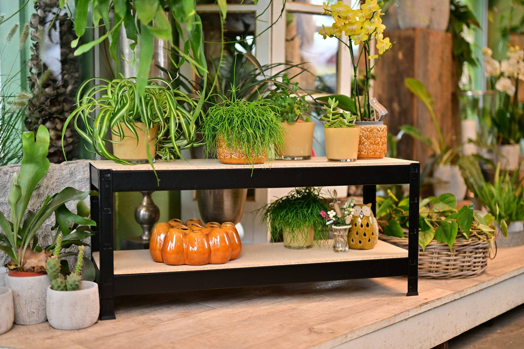 Etagère Métallique Charges lourdes 2 tablettes en bois 150 kg par niveau 43 x 120 x 40 cm Acier Epoxy Noir-2