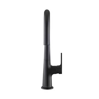 Robinet de Cuisine Extensible à Double Fonction Bec Haut