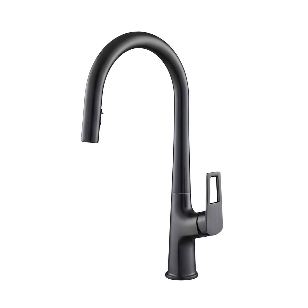 Robinet de Cuisine Extensible à Double Fonction Bec Haut-1