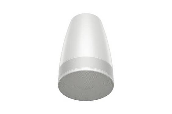 BOSE PRO Enceinte DesignMax LUNA DML88P Blanche