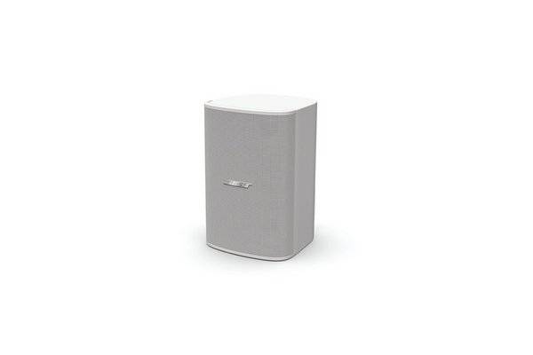 BOSE PRO Enceinte DesignMax DM5SE Blanc - La Paire