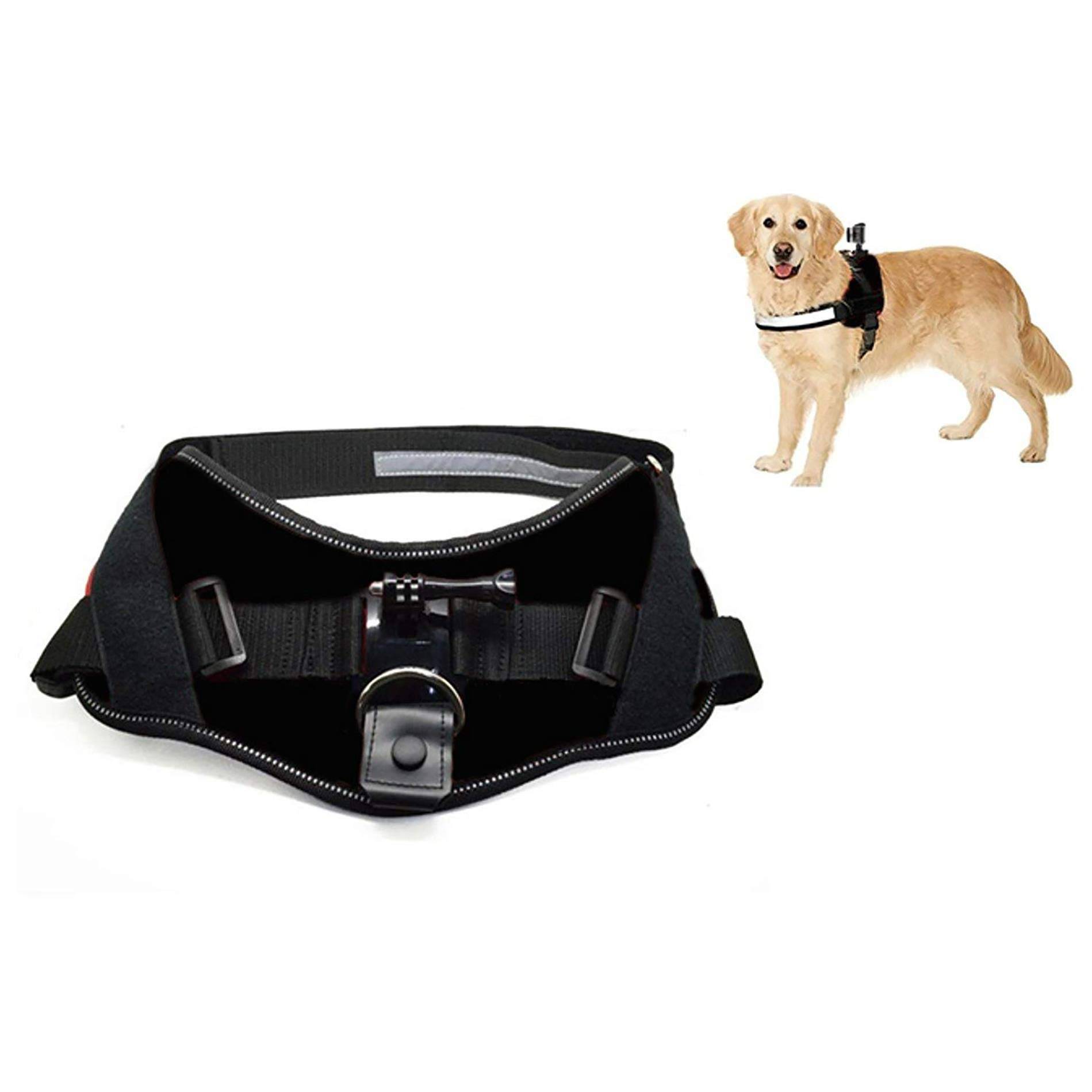 ACTIVEON 360 Dog Vest-0