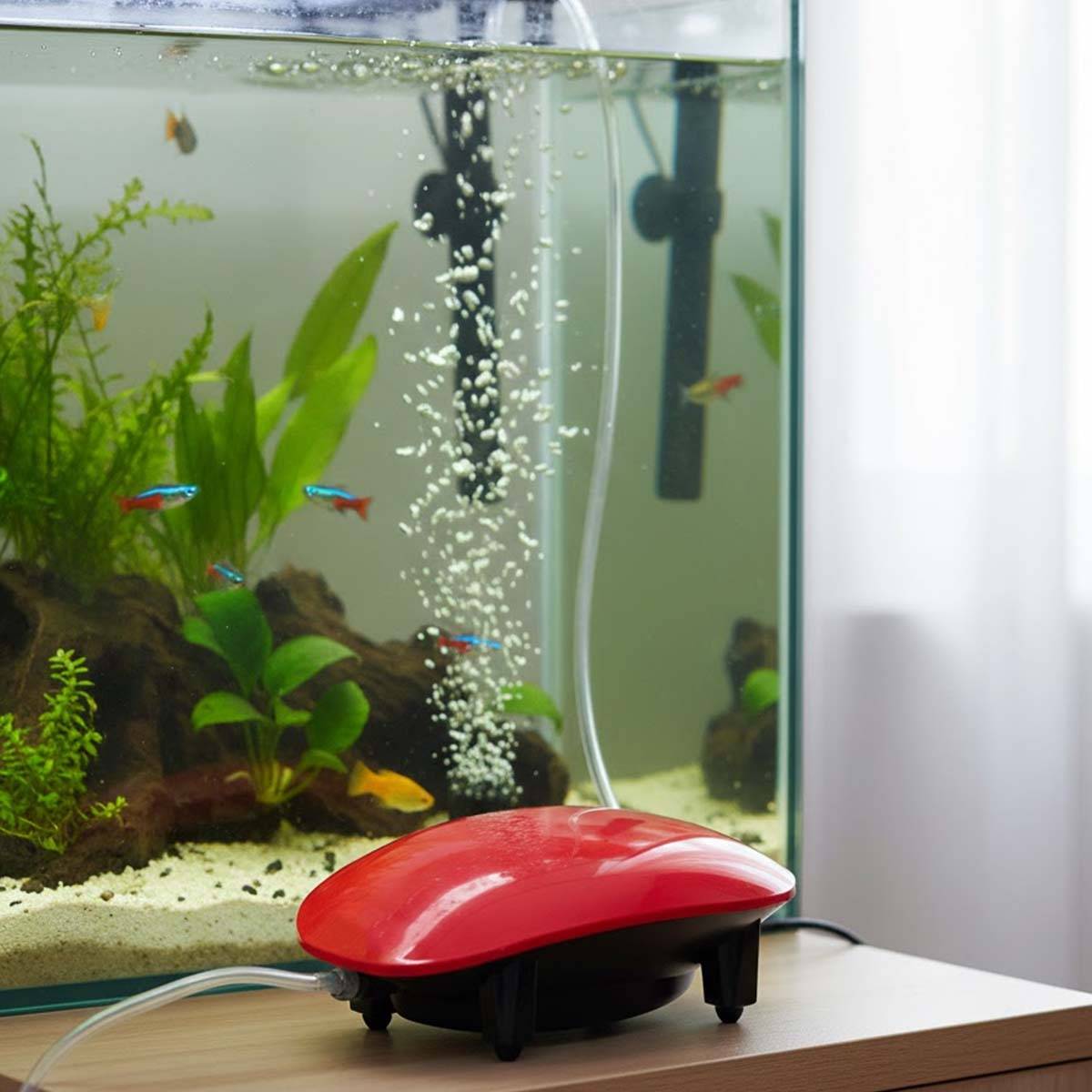 Pompe à Air pour Aquarium 1.5W Compacte à Faible Niveau Sonore-2