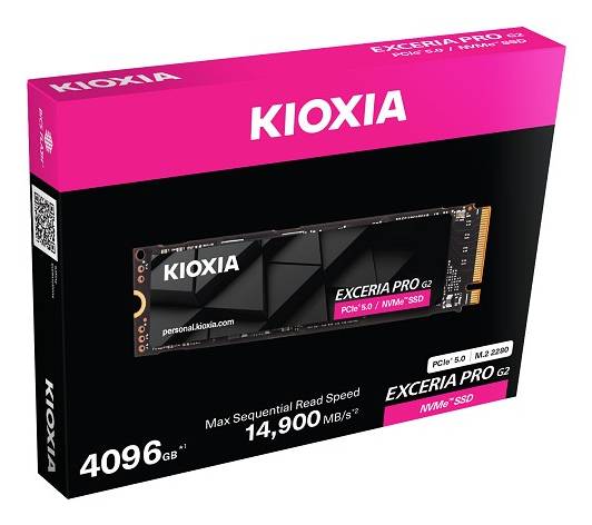 Kioxia LVE10Z4T09G8 Speicher-1