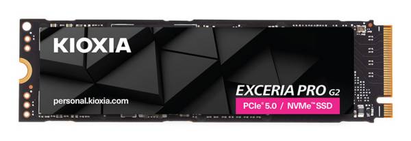 Kioxia LVE10Z4T09G8 Speicher
