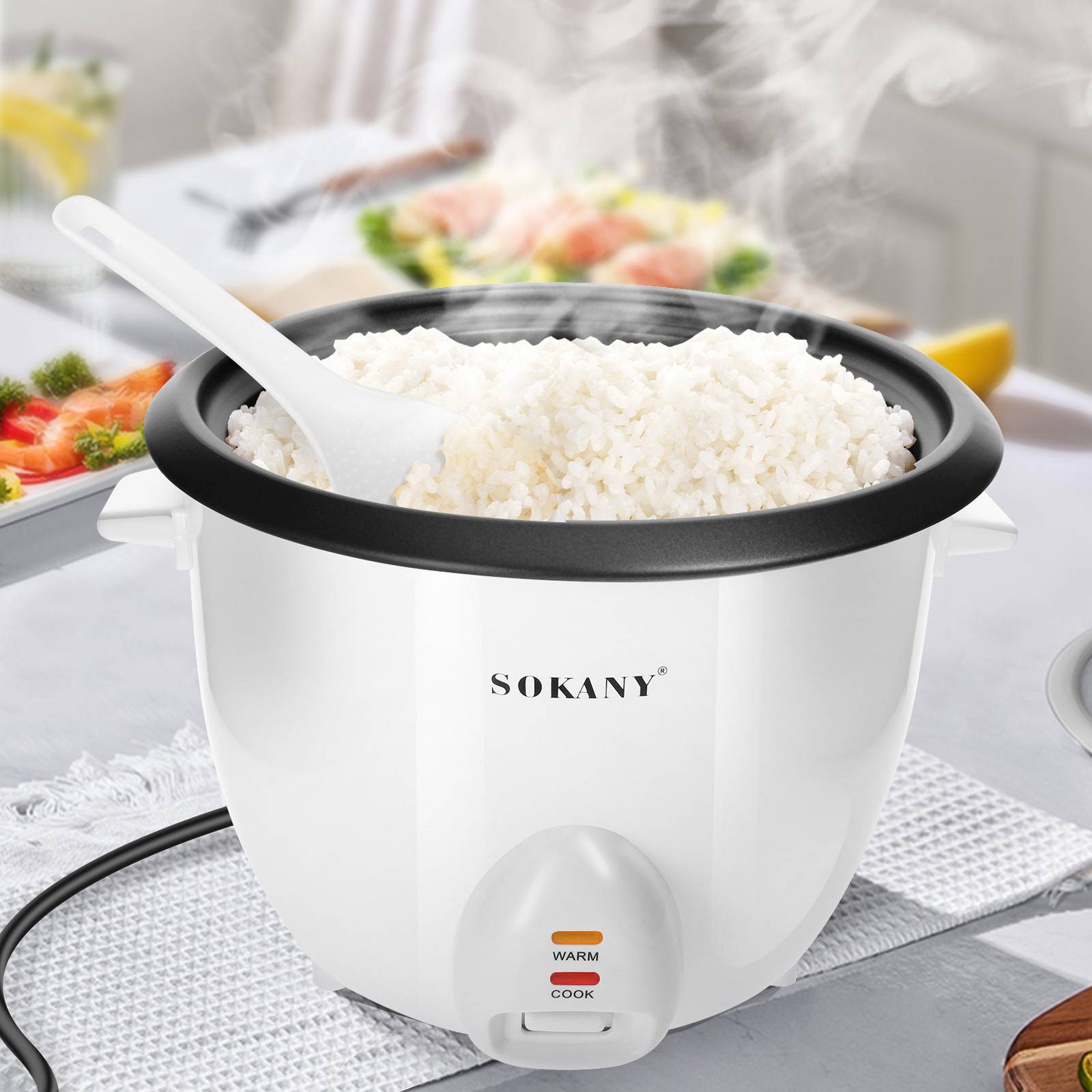 Cuiseur à Riz 2.2L avec Panier Vapeur Compact et Maintien Chaud-1