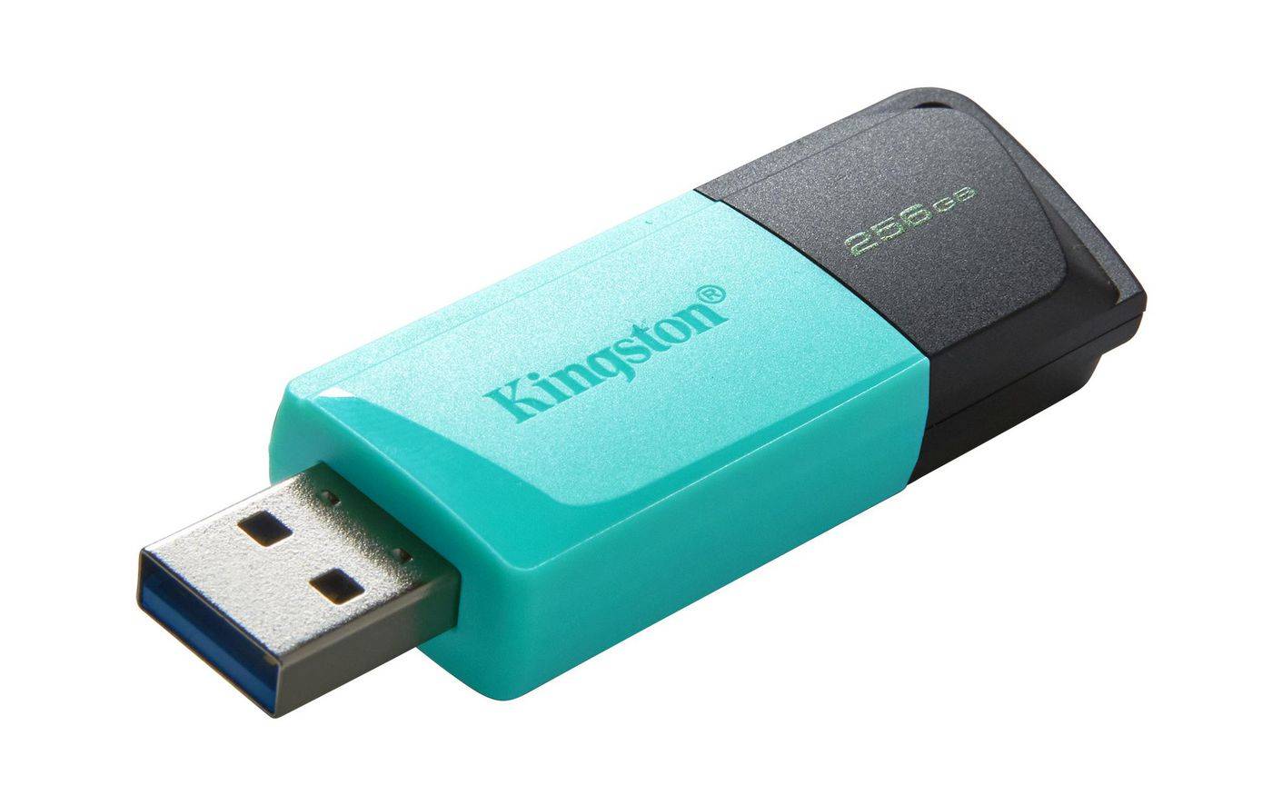 KINGSTON 256Go DataTraveler Exodia M-5