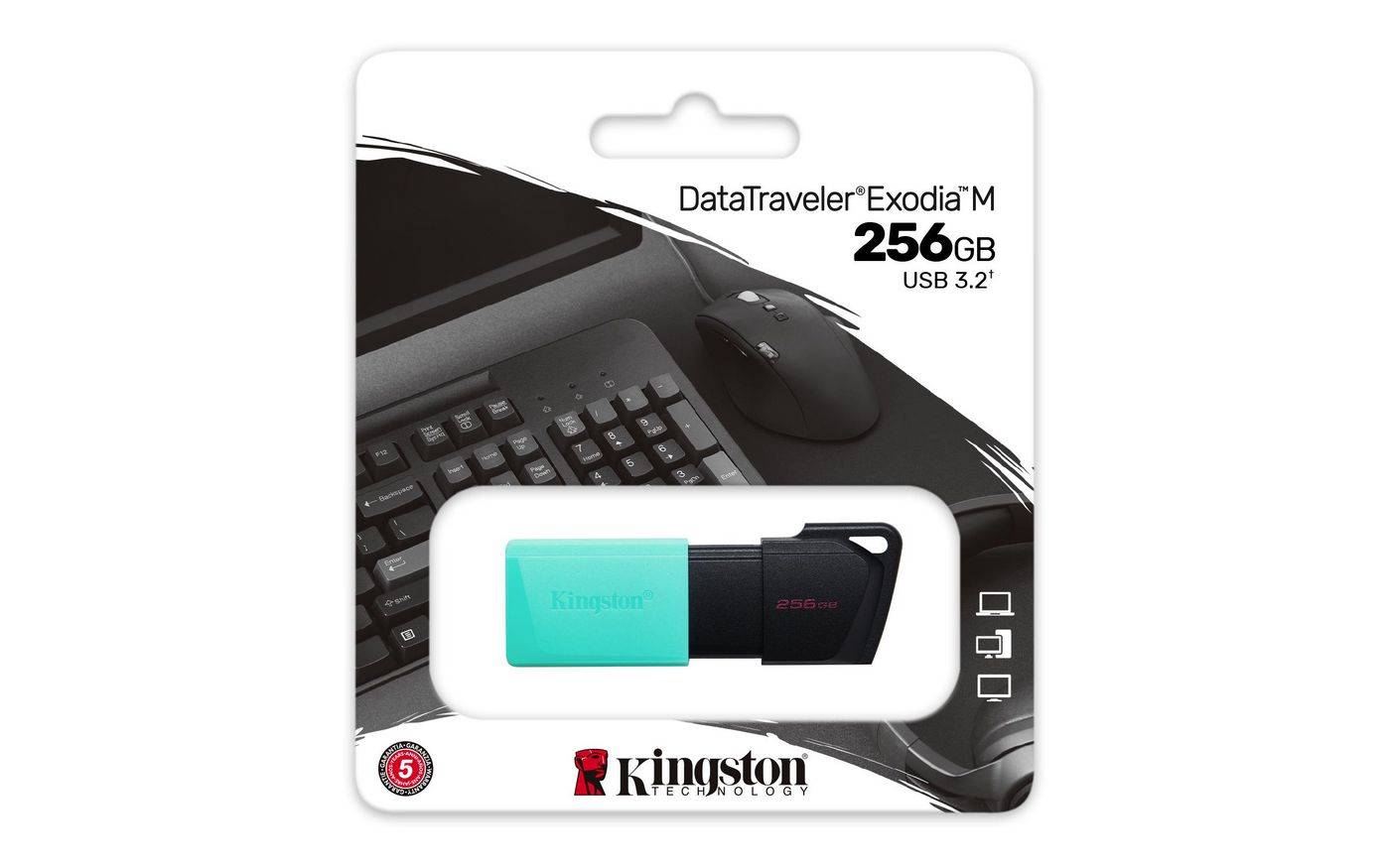 KINGSTON 256Go DataTraveler Exodia M-6