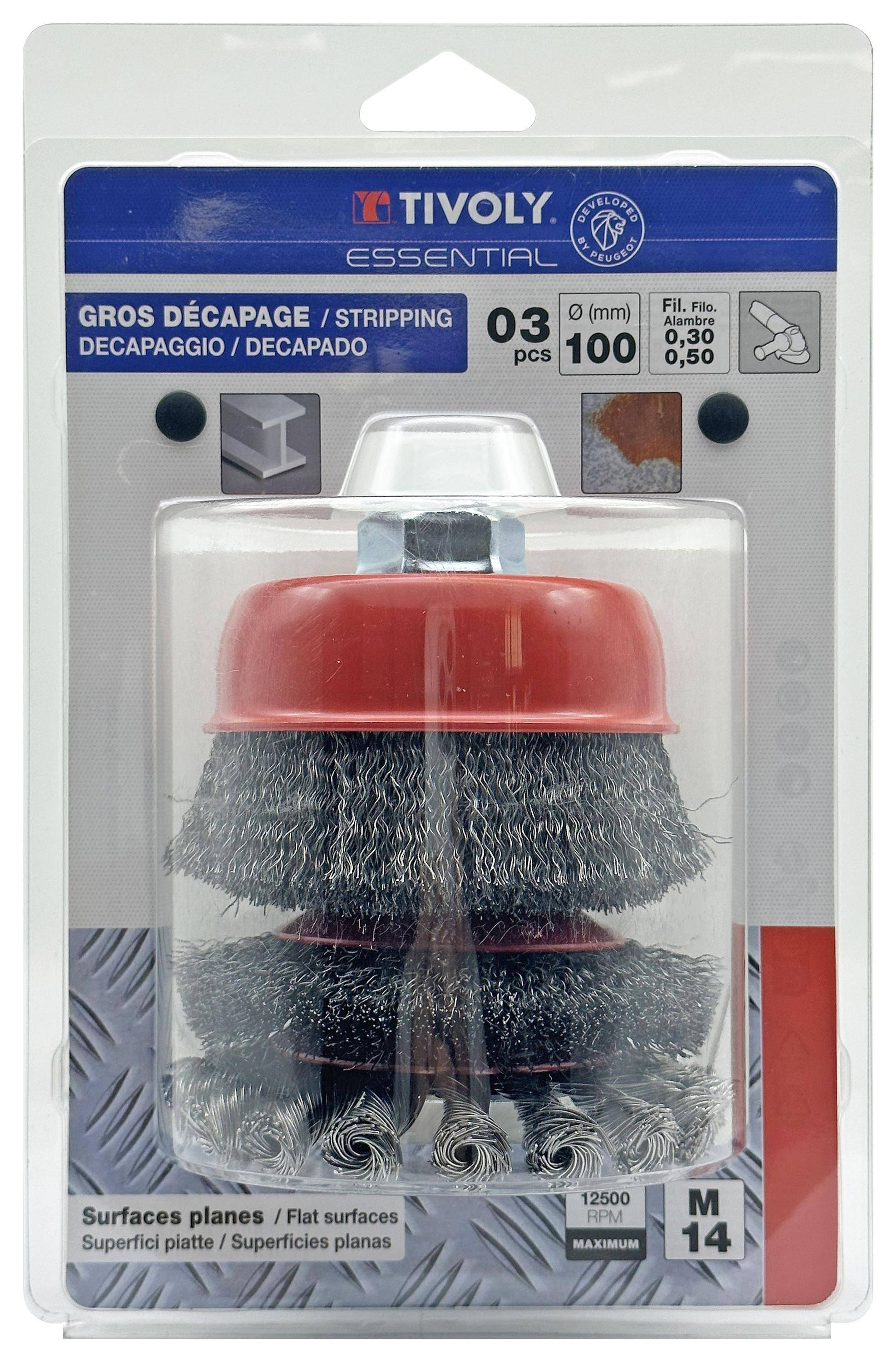 Tivoly 3 Brosses pour Meuleuse Ø100mm Alésage M14 Gros Décapage Métal Pierres Diverses-0
