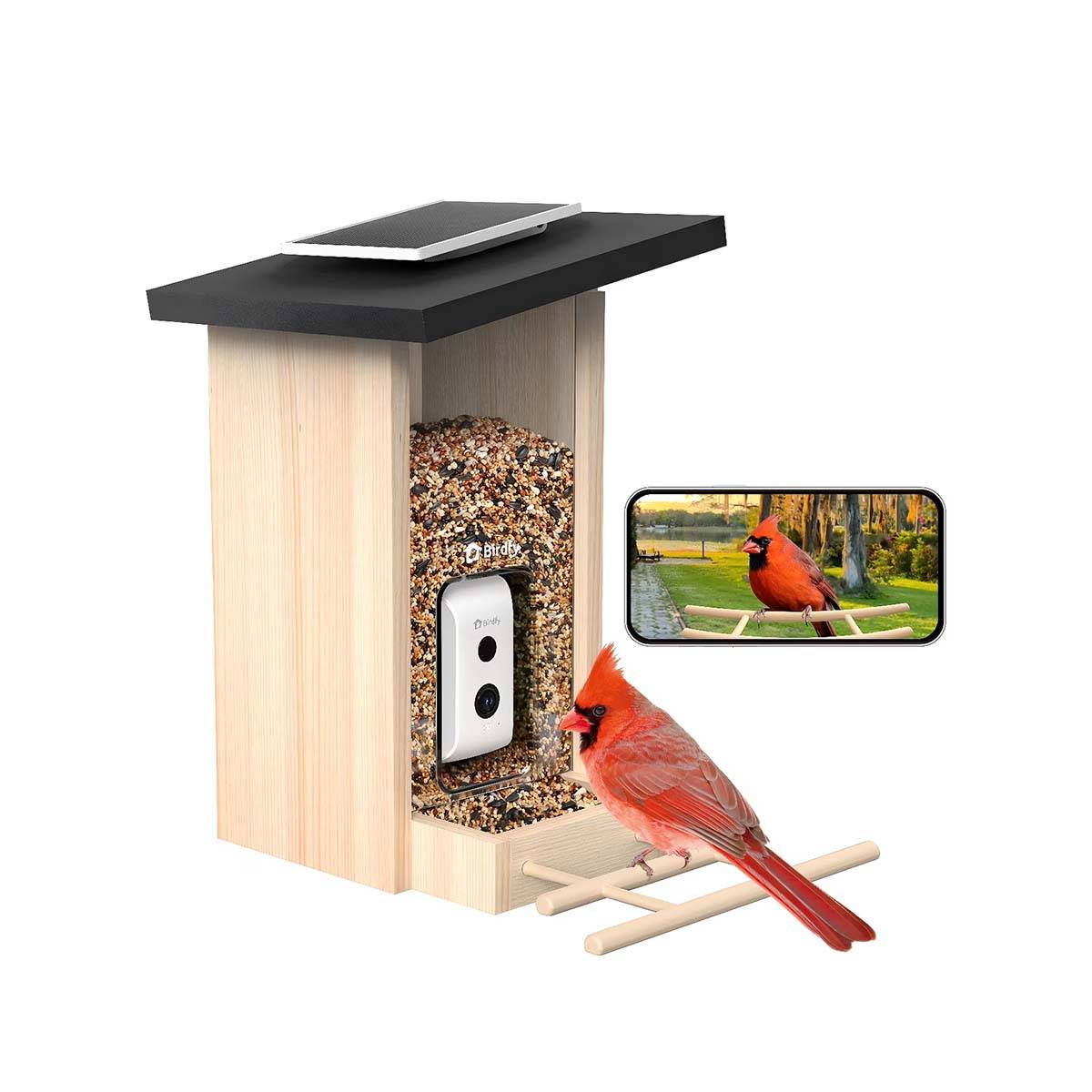 Mangeoire pour Oiseaux avec Caméra IA et Panneau Solaire Étanche IP66-0