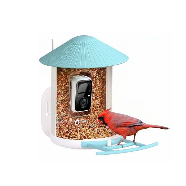 Mangeoire pour Oiseaux avec Caméra IA et Panneau Solaire IP65