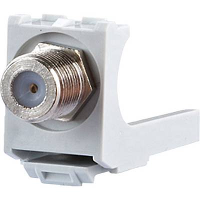 Un module à connecteur F avec un boîtier en plastique blanc, adapté à une utilisation dans des boîtes de connexion ou de jonction pour câbles coaxiaux.