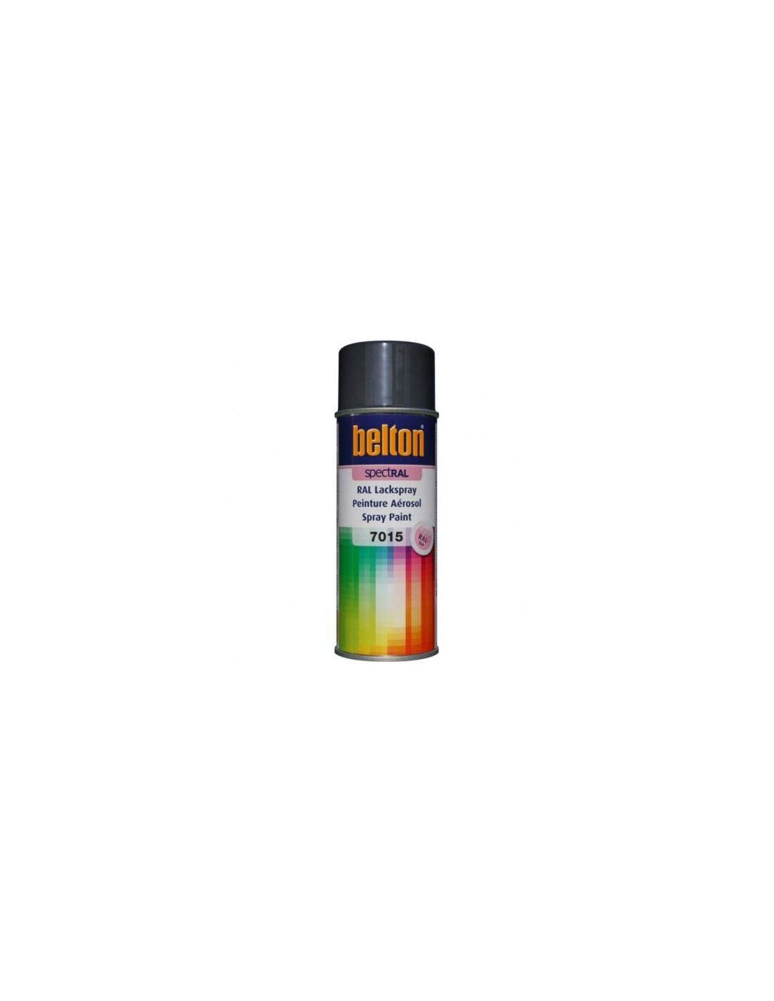 Bombe Peinture Gris Ardoise Ral 7015 Peinture Ral 7015, Séchage Rapide, Haute Couvrance - Belton-0