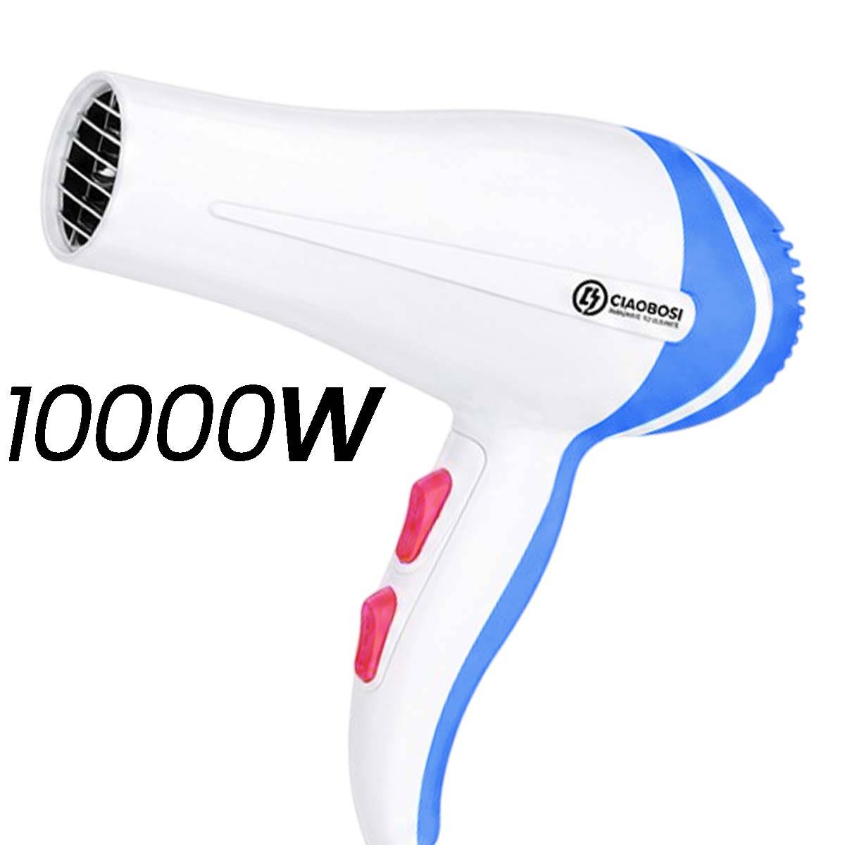 Sèche-Cheveux Performant 1000W avec Embout Concentrateur et Moteur DC-4