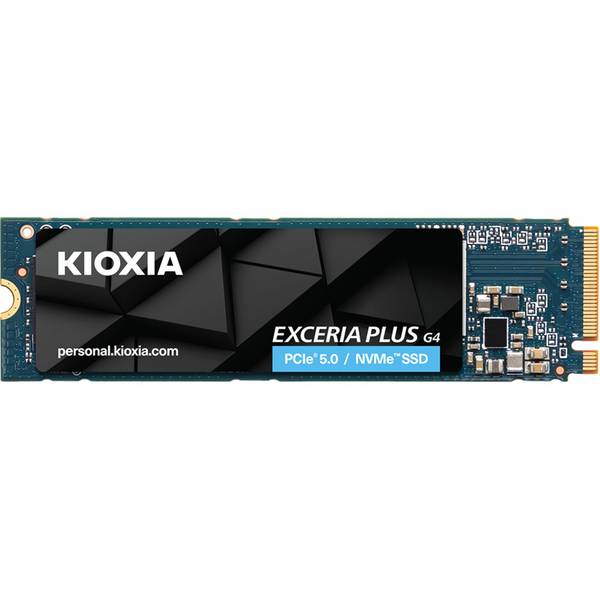 Kioxia LVD10Z001TG8 Speicher