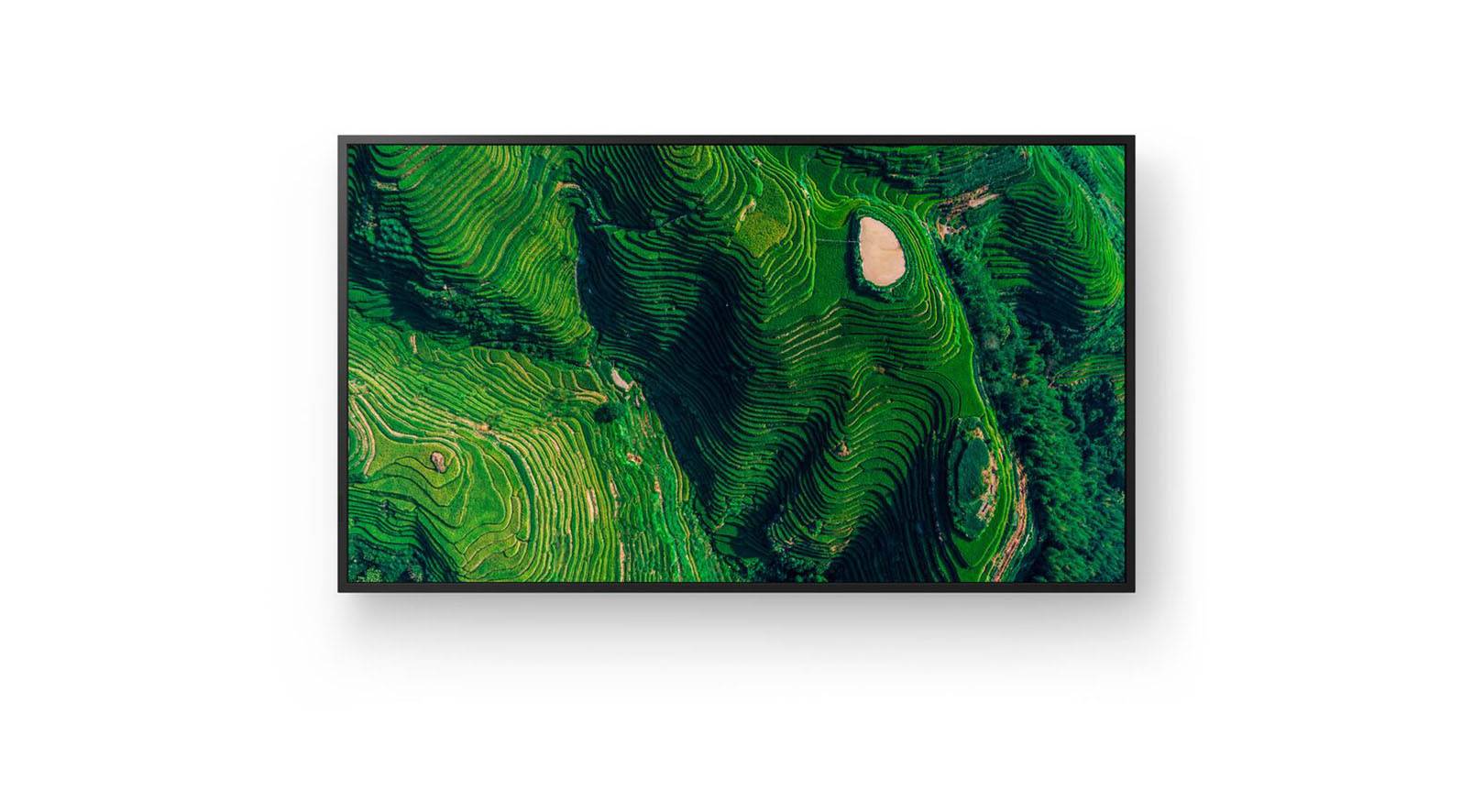 65" Pro BRAVIA 500nit DBNG Standard-1