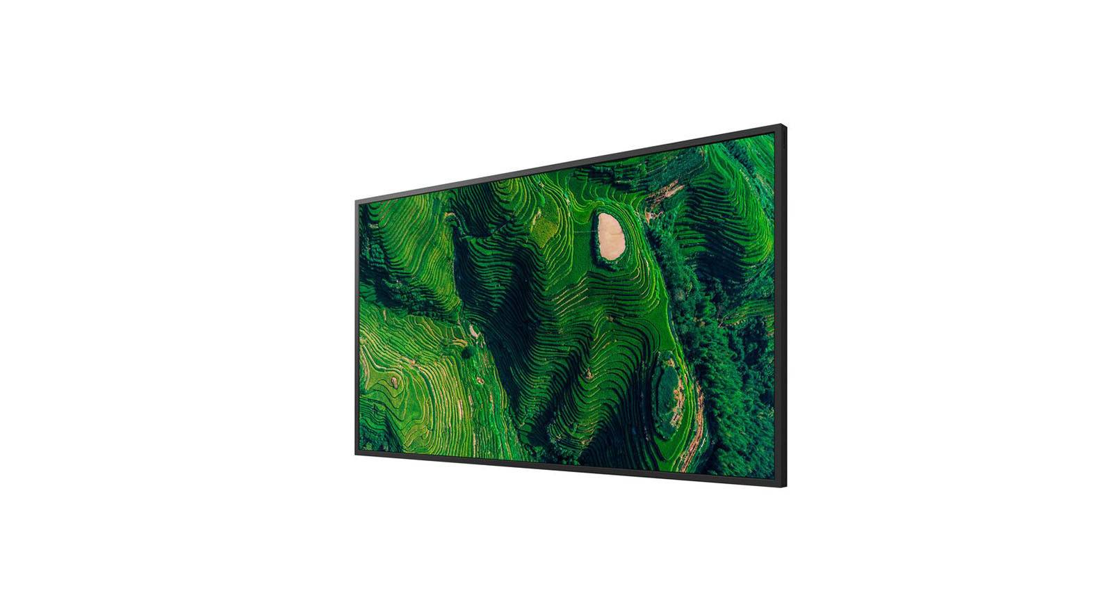 65" Pro BRAVIA 500nit DBNG Standard-2