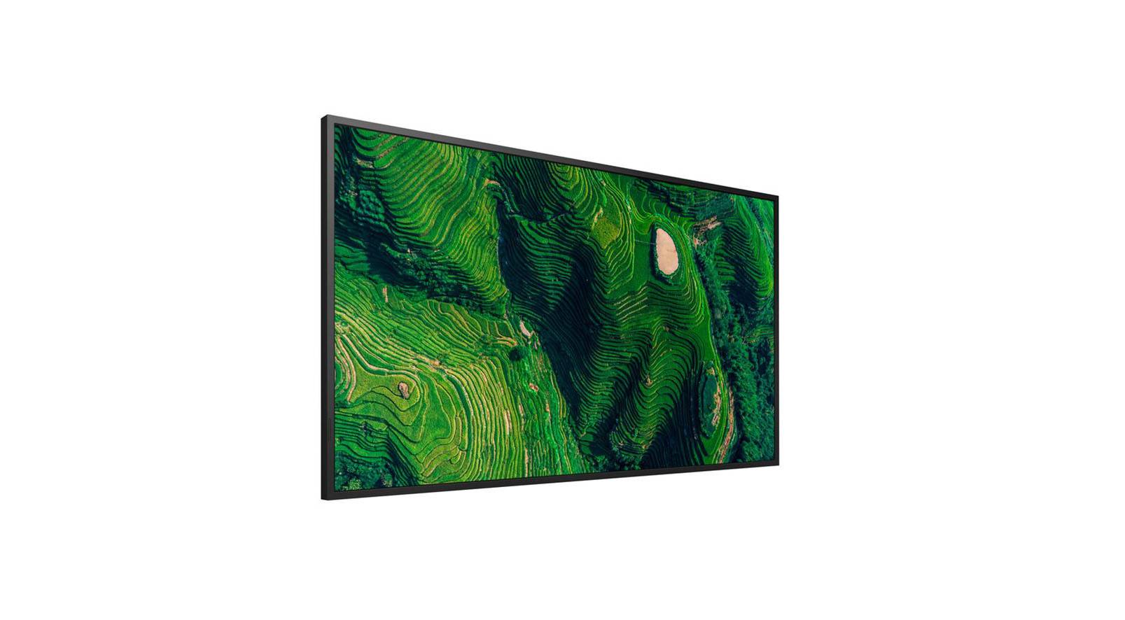 65" Pro BRAVIA 500nit DBNG Standard-3
