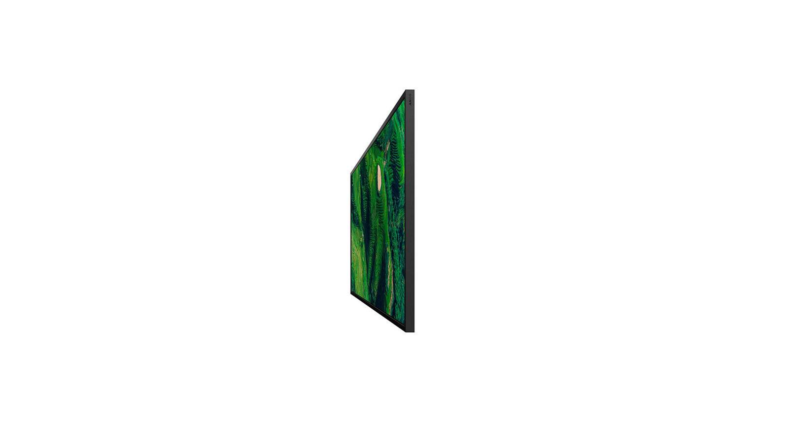 65" Pro BRAVIA 500nit DBNG Standard-4