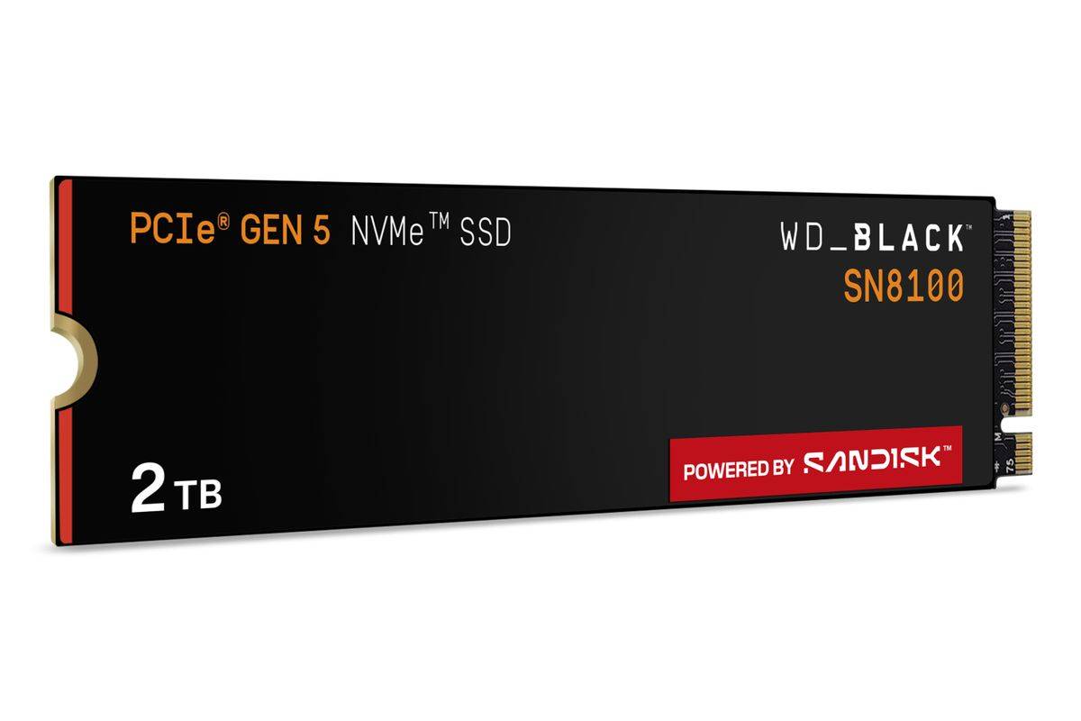 Western Digital Black WD_BLACK SN8100 NVMe, 2 To, M.2, 14900 Mo/s-4