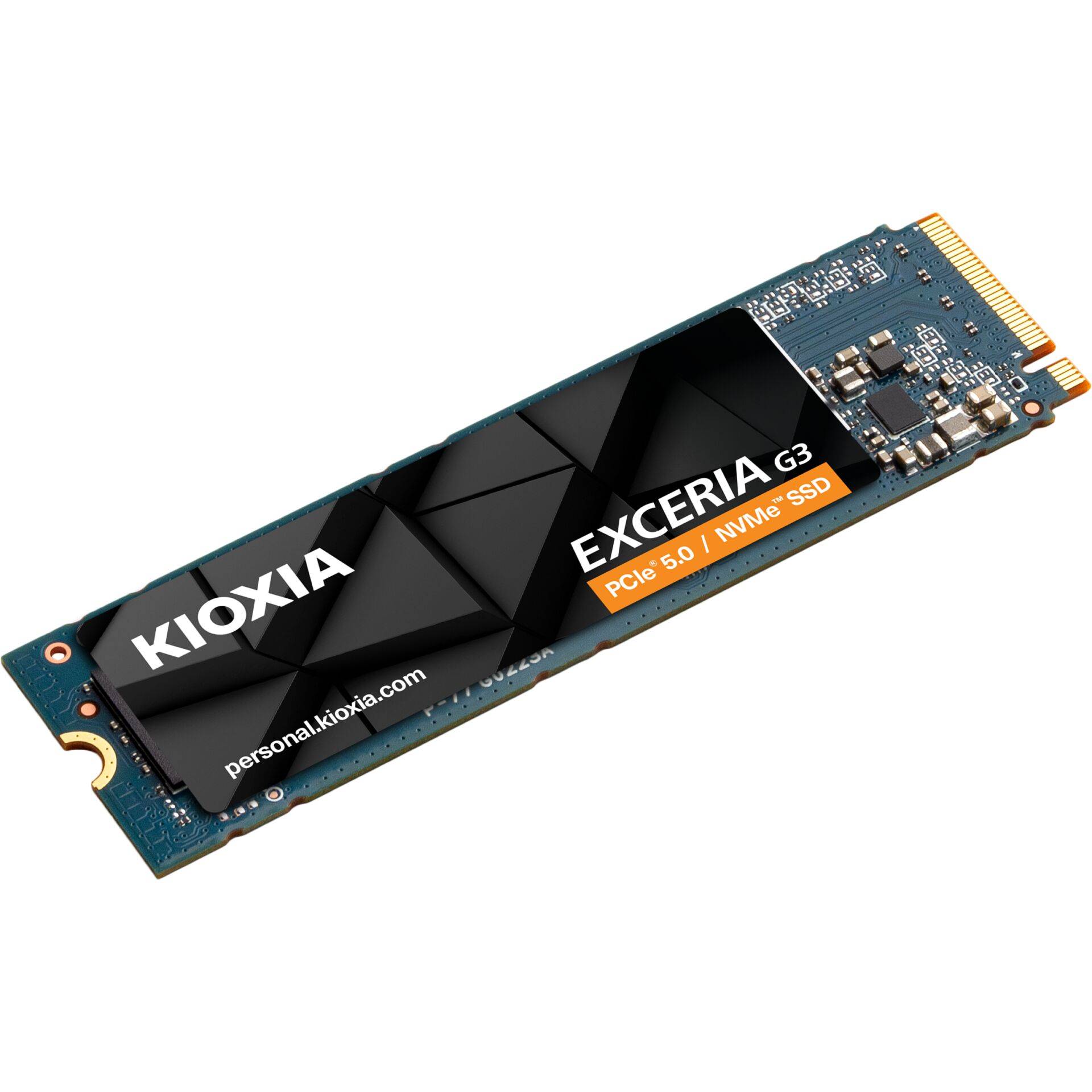 Kioxia LVC10Z001TG8 Speicher-1