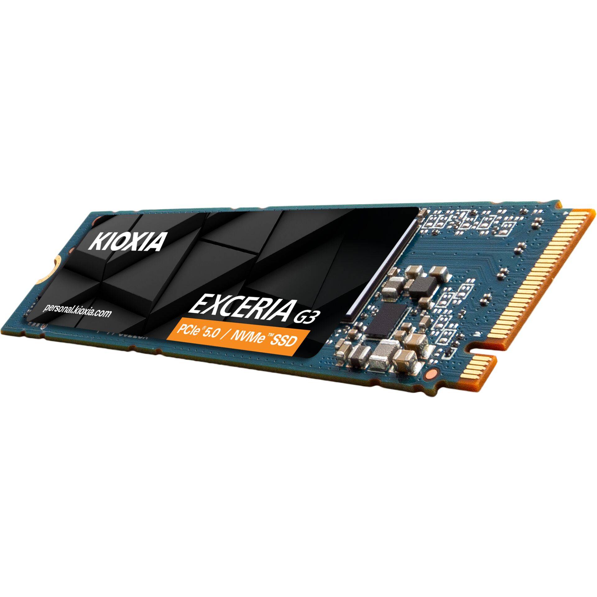 Kioxia LVC10Z001TG8 Speicher-2