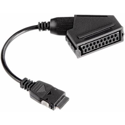 Convertisseur HDMI, SCART Femelle