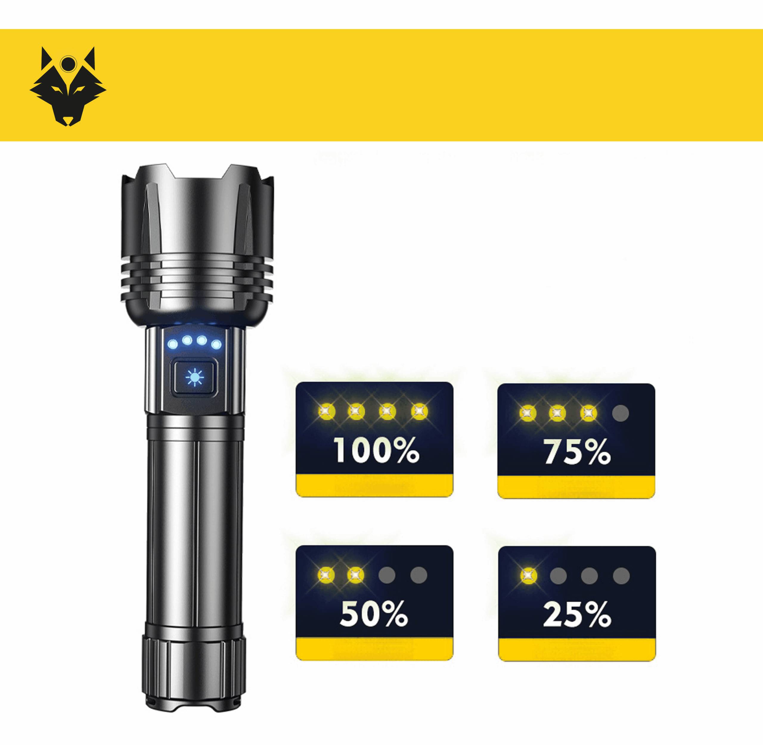 Lampe torche MAX100 - 800 lumens / Rechargeable-1