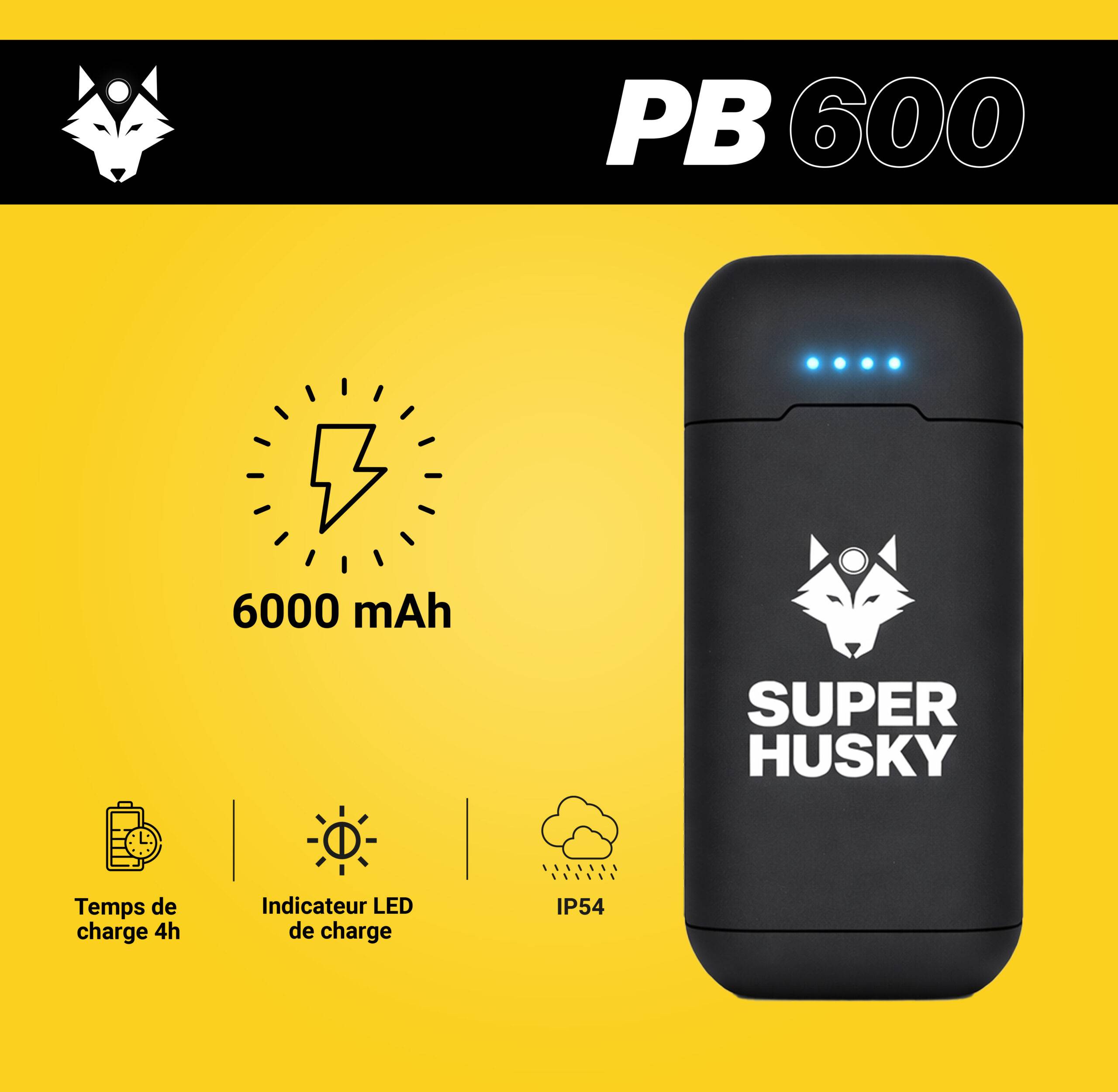 Batterie externe - 6000 mAh-2