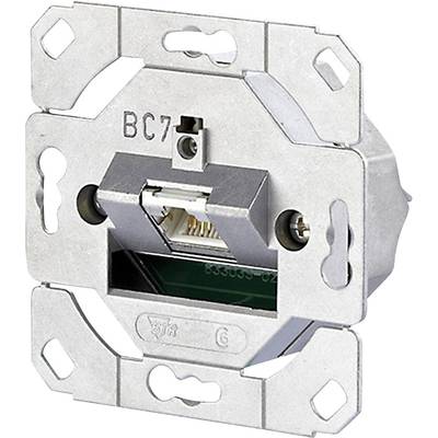 Prise réseau encastrable, couleur argent, à installer dans un mur pour les connexions réseau, montrant les ports et les trous de vis.