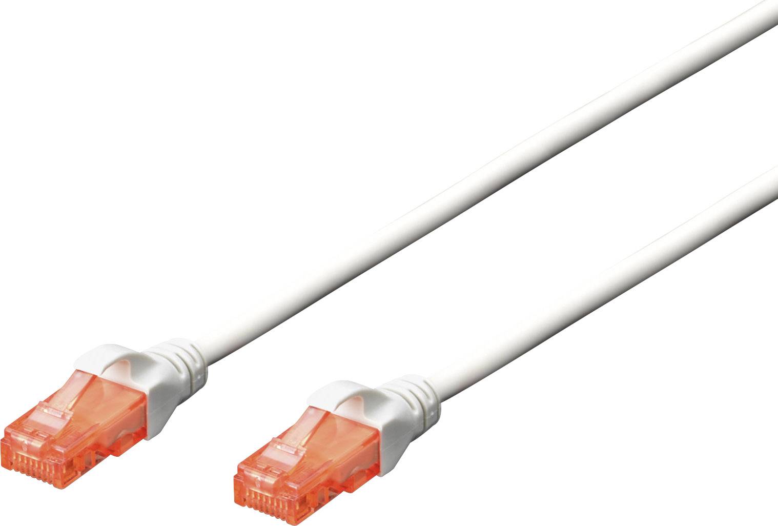 Deux câbles Ethernet blancs avec des connecteurs orange sont posés côte à côte.