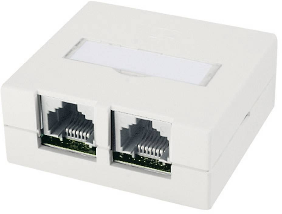 Deux ports RJ45 réseau dans un boîtier rectangulaire blanc ; adapté pour une installation murale pour les connexions Ethernet.