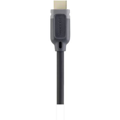 Câble de raccordement Belkin AV10000qp4M 4.00 m noir-0