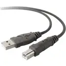 Belkin Câble USB USB 2.0 USB-A mâle, USB-B mâle 3.00 m gris F3U133b10