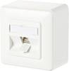 Prise réseau montage apparent (en saillie) CAT 6a 1 port Metz Connect 130B11D10002-E blanc pur