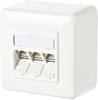 Prise réseau montage apparent (en saillie) CAT 6a 3 ports Metz Connect 130B11D30002-E blanc pur