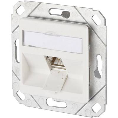 Prise de réseau en métal et en plastique, adaptée à une installation encastrée. Convient pour la connexion d'appareils réseau.