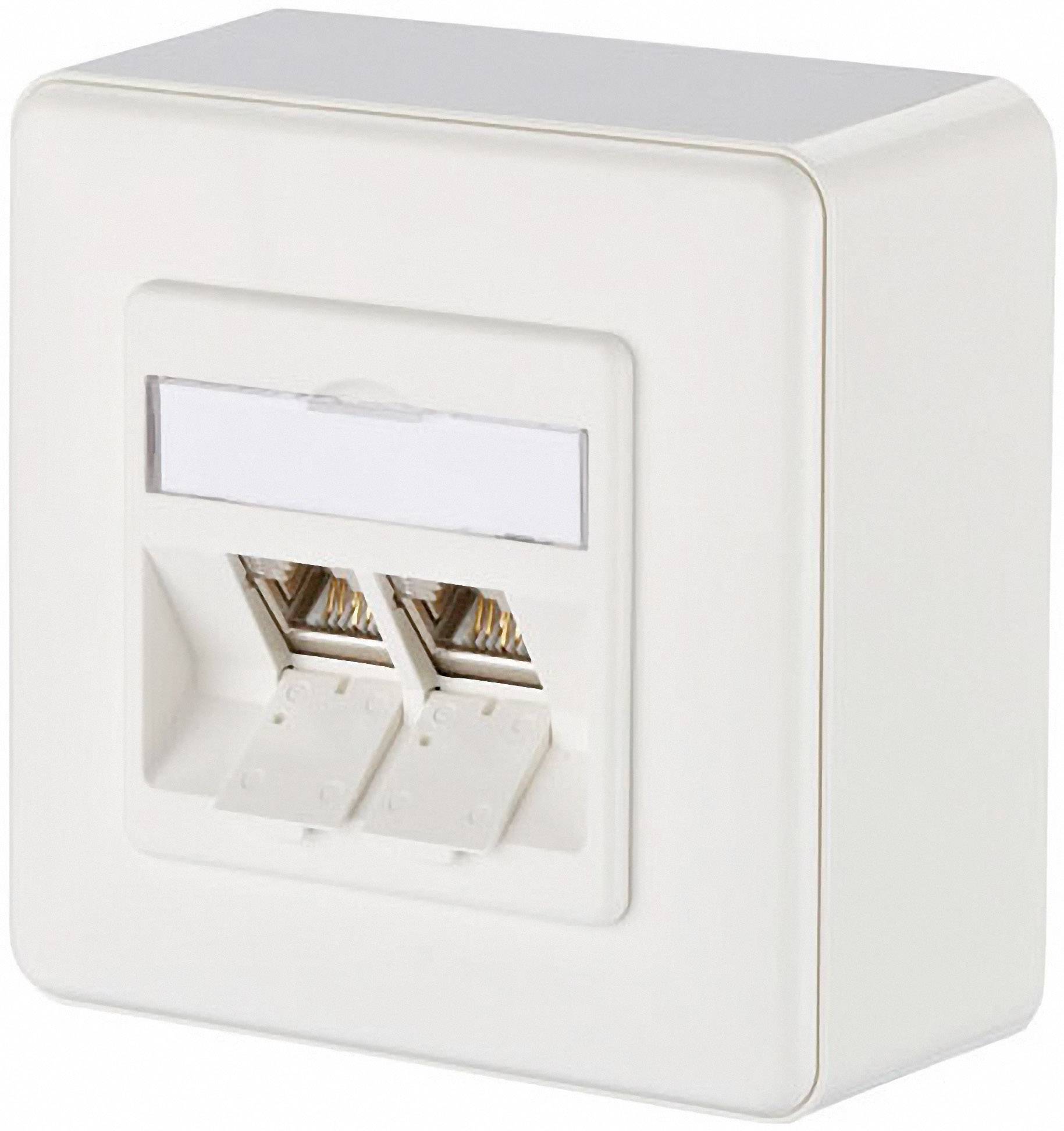 Prise réseau double blanche pour montage mural, avec deux ports Ethernet et couvercle. Adaptée aux réseaux de bureau ou domestiques.