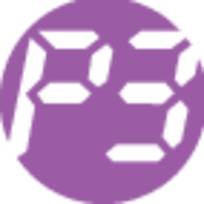 P3 International