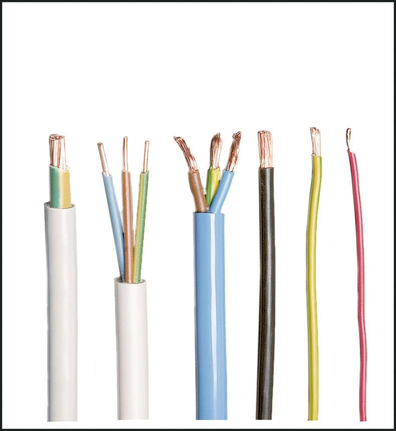 Différentes extrémités de câbles colorées avec des fils de cuivre dénudés, disposées verticalement sur un fond blanc.