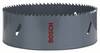 Bosch Accessories 2608584839 2608584839 krunska pila 146 mm 1 St.
